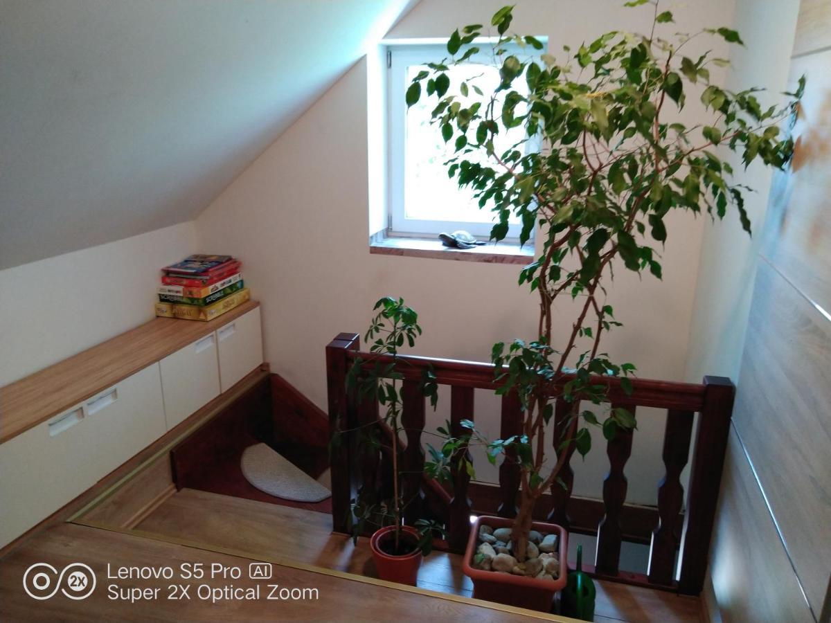 Wellness Apartman Beavital Dolany  Экстерьер фото